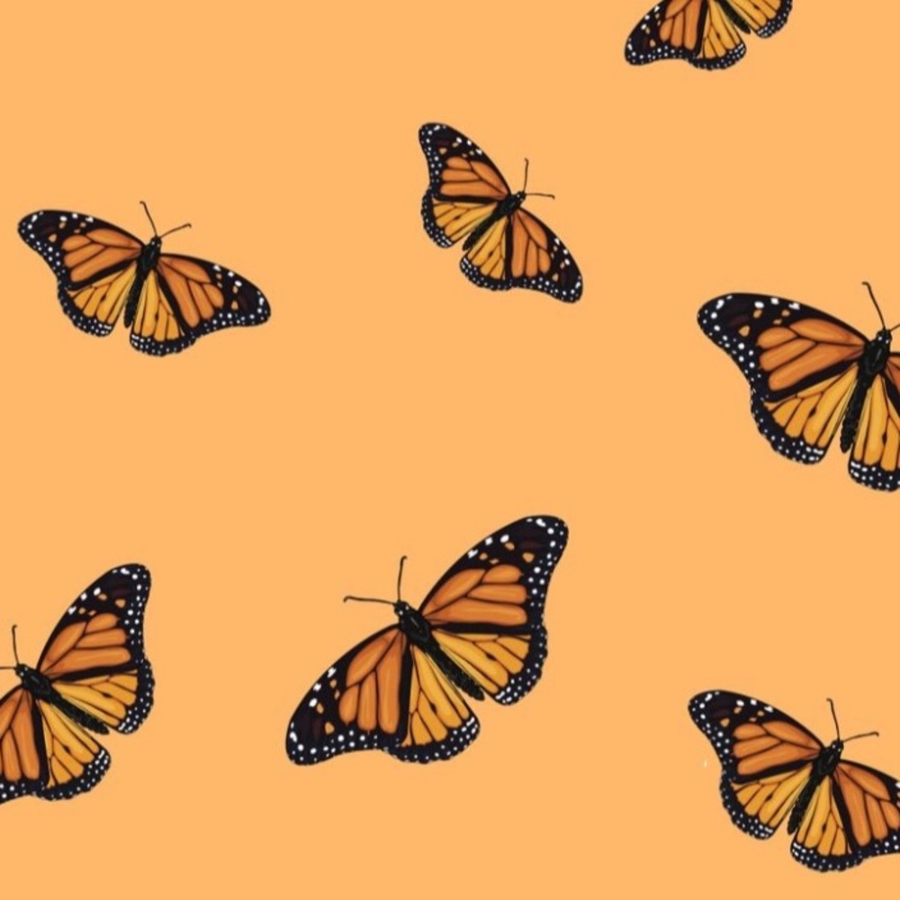 Meet your Posher, Bri